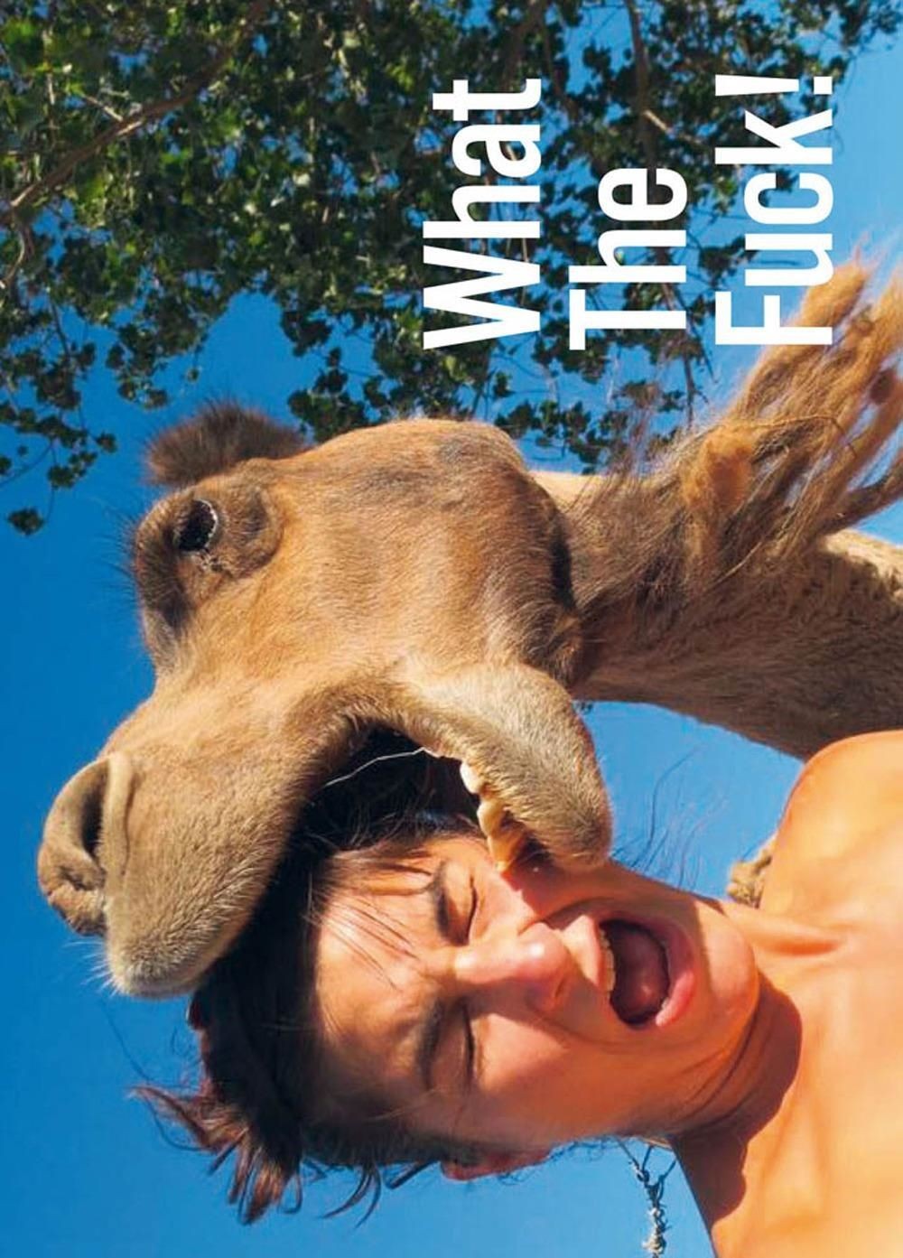 Libri What The Fuck!