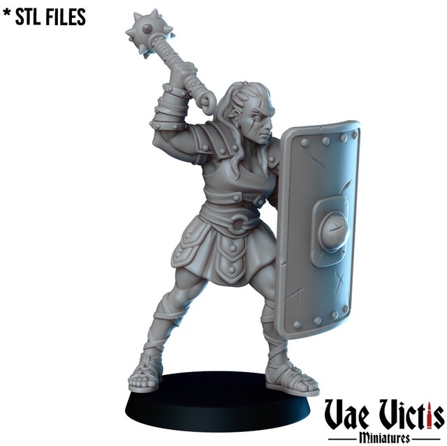 Golia Gladiatrice | battle fantasy fighter rpg guerriero gladiatore arena da tavolo- Golia Gladiatrice | battle fantasy fighter rpg guerriero gladiatore arena da tavolo-