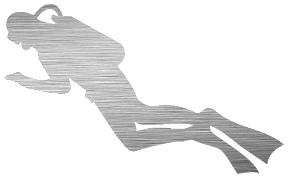 MYSHOPX TAUCHEN Aufkleber Aluminium Gebürstet 2 Stück TAUCHEN