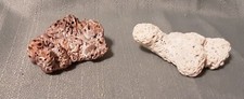 2 Pieces of NATURAL SEA OCEAN CORAL REEF PIECES