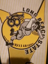 Long Beach State Dirtbags Wincraft Sports banner