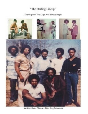 The Starting Lineup: The Orgin of the Crips and Bloods Begin [Taschenbuch]