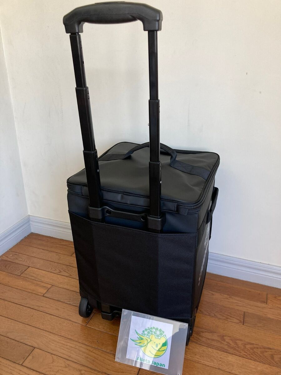 The North Face STANDARD record bag Limited NM82115R BC The North Face STANDARD record bag Limited NM82115R BC