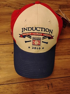 Andre Dawson Montreal Expos American Needle 2010 Hall Of Fame Cap Nwt Osfa New