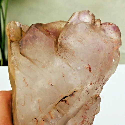 860 g Pie de Amatista Natural Esqueleto Cuarzo Punto de Cristal Espécimen Curación - Imagen 9 de 12