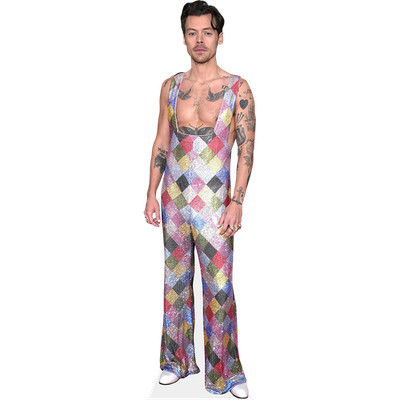 Harry E. Styles (bunt) lebensgroßer Ausschnitt
