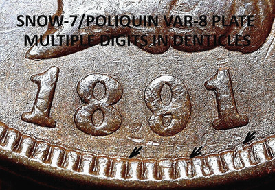 1891 Indian Head Cent - AU SNOW-7 / POLIQUIN VAR-8 PLATE, MPD (M462)