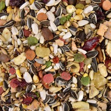 Graupapageien Futter - 5 kg Wagner's Saaten & Obst, Papageien Mix Vogelfutter