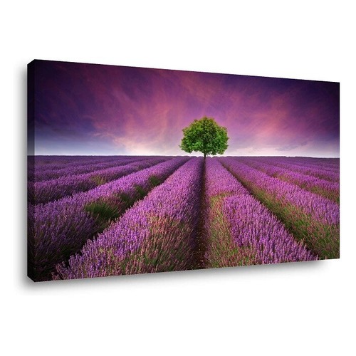 Leinwand Bild Lavendel Feld Nature 80 x 60 cm Nr.4059