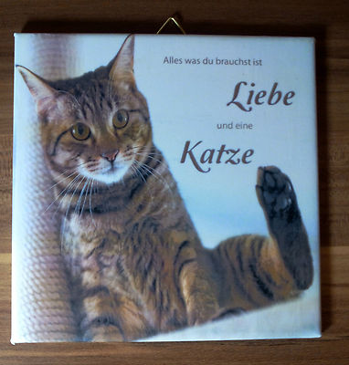 Download Katze spruch liebe Desktop Wallpaper