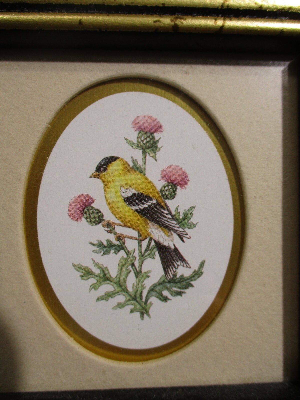 Picture 6 of 17