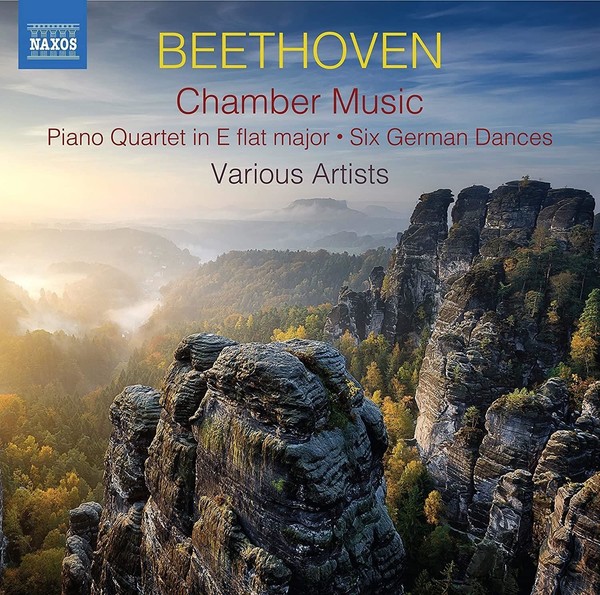 Audio Cd - Ludwig Van Beethoven - Chamber Music (2 Cd) - Naxos -D- Neu-image