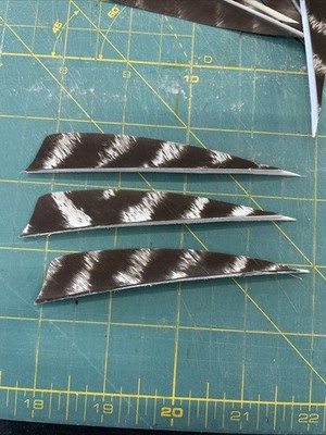 4'' Right Wing Shield Natural Barred Feather Fletching, 25Pk Archery  ￼