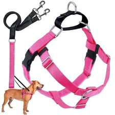 2 Hounds Design Freedom No Pull Dog Harness, Adjustable Harness and Leash Set,