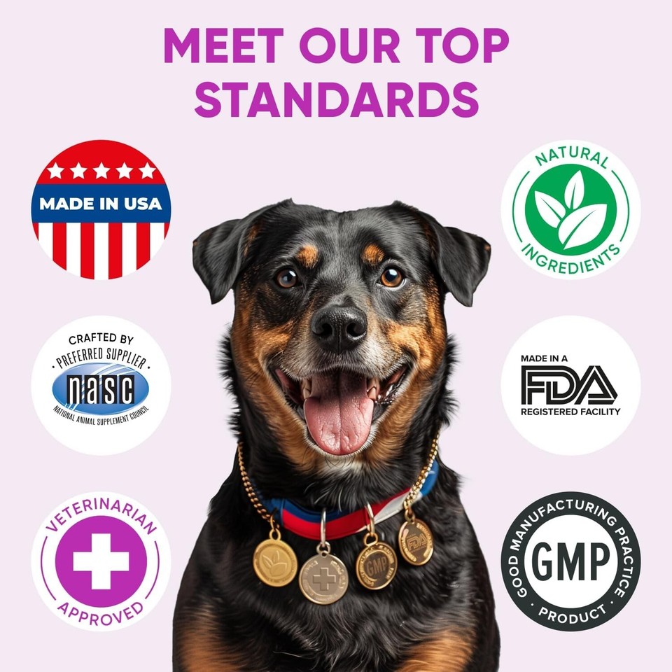 Dog Allergy Relief Chews for Itchy Skin Shedding Licking Paws Hot