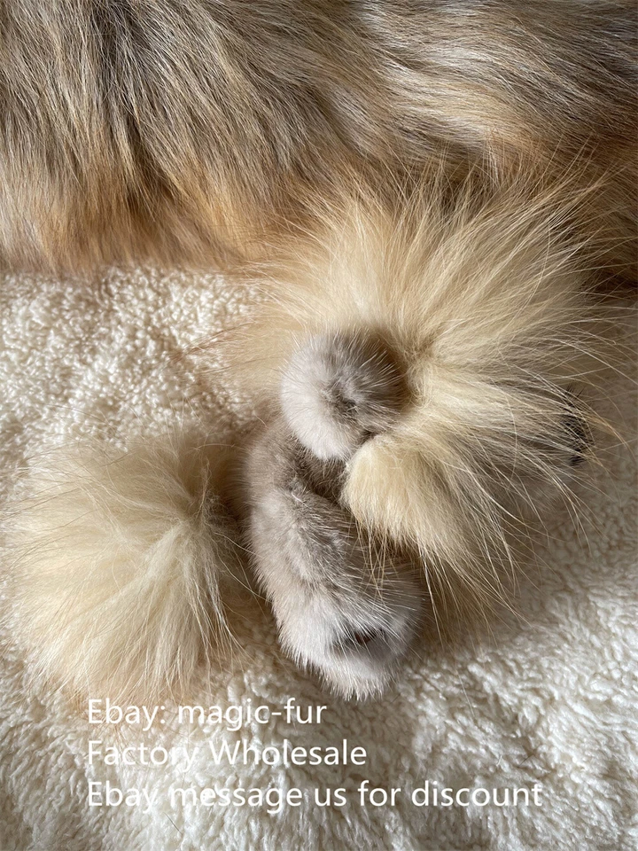 Dorado-Real Visón Piel León Perro Dije Llavero Coche Bolso Dije Colgante Niños Regalo Foto 3 de 4