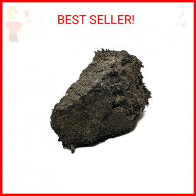 Large Naturally Magnetic Lodestone 1/2 to 3/4 Pound