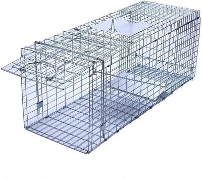 Large Collapsible Humane Live Animal Cage Trap for Raccoon, Opossum, Stray Ca...