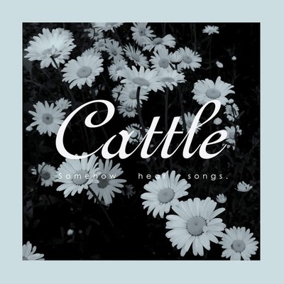 Cattle Somehow Hear Songs (CD) (UK IMPORT)