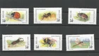 Belgium insects
