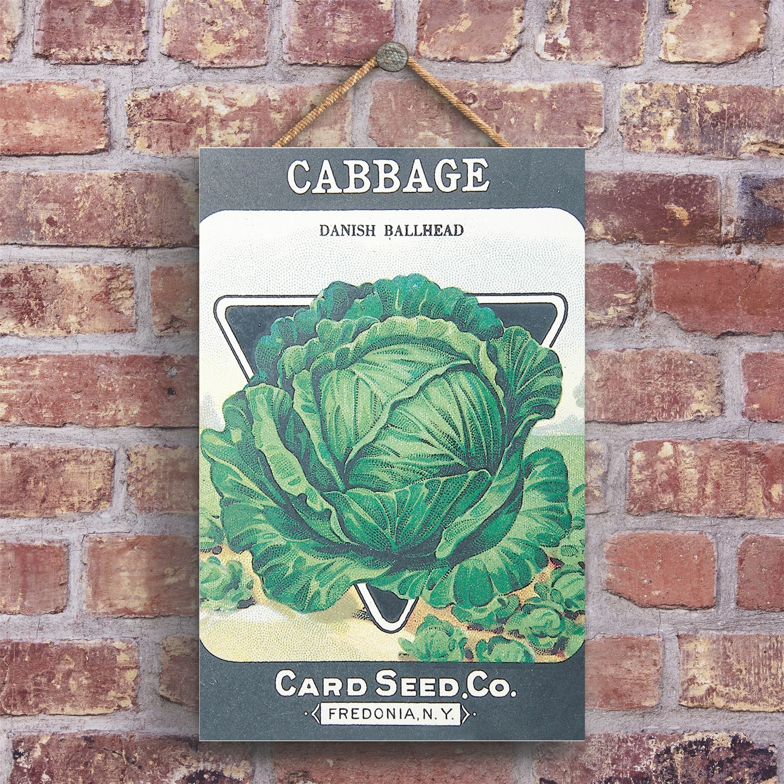 A CLASSIC CABBAGE CARD SEED CO VINTAGE AD ON A WOODEN PLAQUE