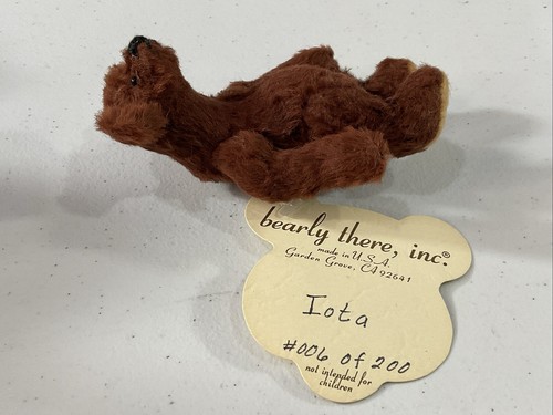 Bearly There Linda Spiegel Artist Bear 4” IOTA #006/200 Etiquetado - Imagen 4 de 7