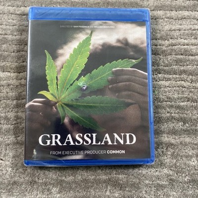 Grassland Blu-ray Gravitas Ventures Drama Crime Thriller Movie NR English SDH