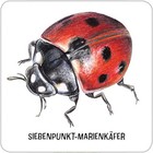 Bild 5 von 8