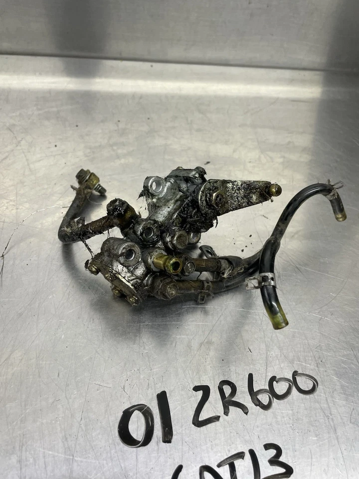 99 00 01 Conjunto de bomba de aceite Arctic Cat Mountain Cat ZR ZL VEV 600 OEM #3005-417 Foto 2 de 4