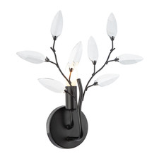 Modern Birch Matte Black Wall Lighting Fixture with Transparent Acrylic Leave...