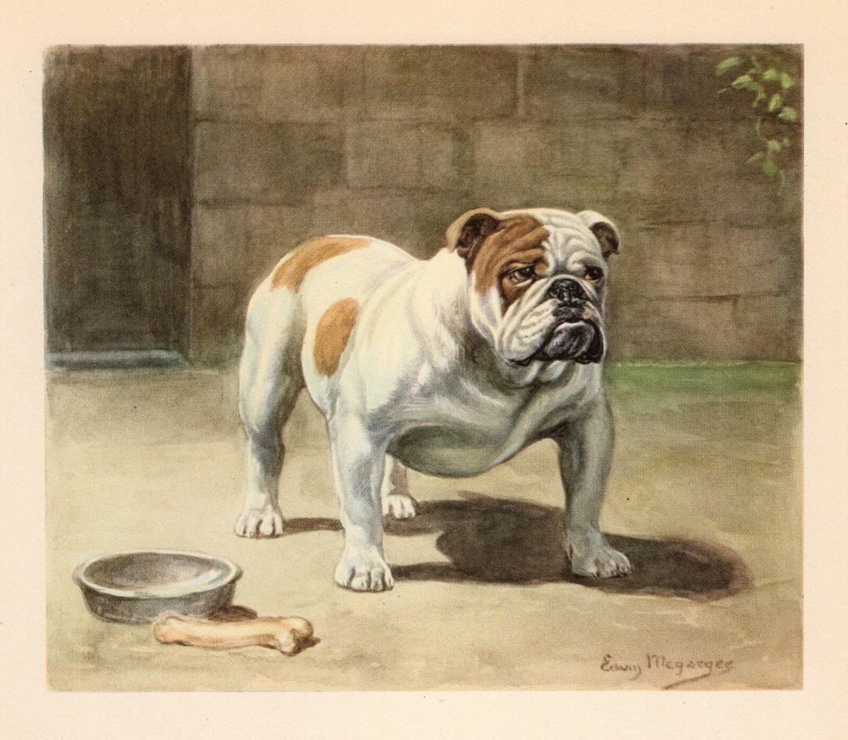 1942 Antique BULLDOG Print Vintage Edwin Megargee English Bulldog Print 4926Q
