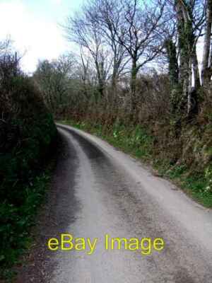 Photo 6x4 Lane near Tredown Farm Trehan Primroses bedeck the verges addin c2006