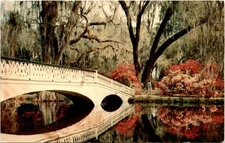 Charleston, S.C., Magnolia Gardens, I. Ginsberg Inc., Tichnor Bros Postcard