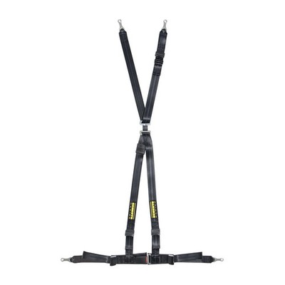 Schroth Racing SR16100 Rallye 4 ASM Harness