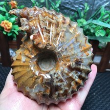 632g   natural crystal Stone sculptor decoration  Specimen  fb1974