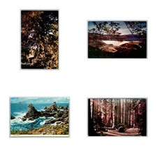 Lot of 4 Vintage Mike Roberts Postcards California Berkeley Family Tree Studio