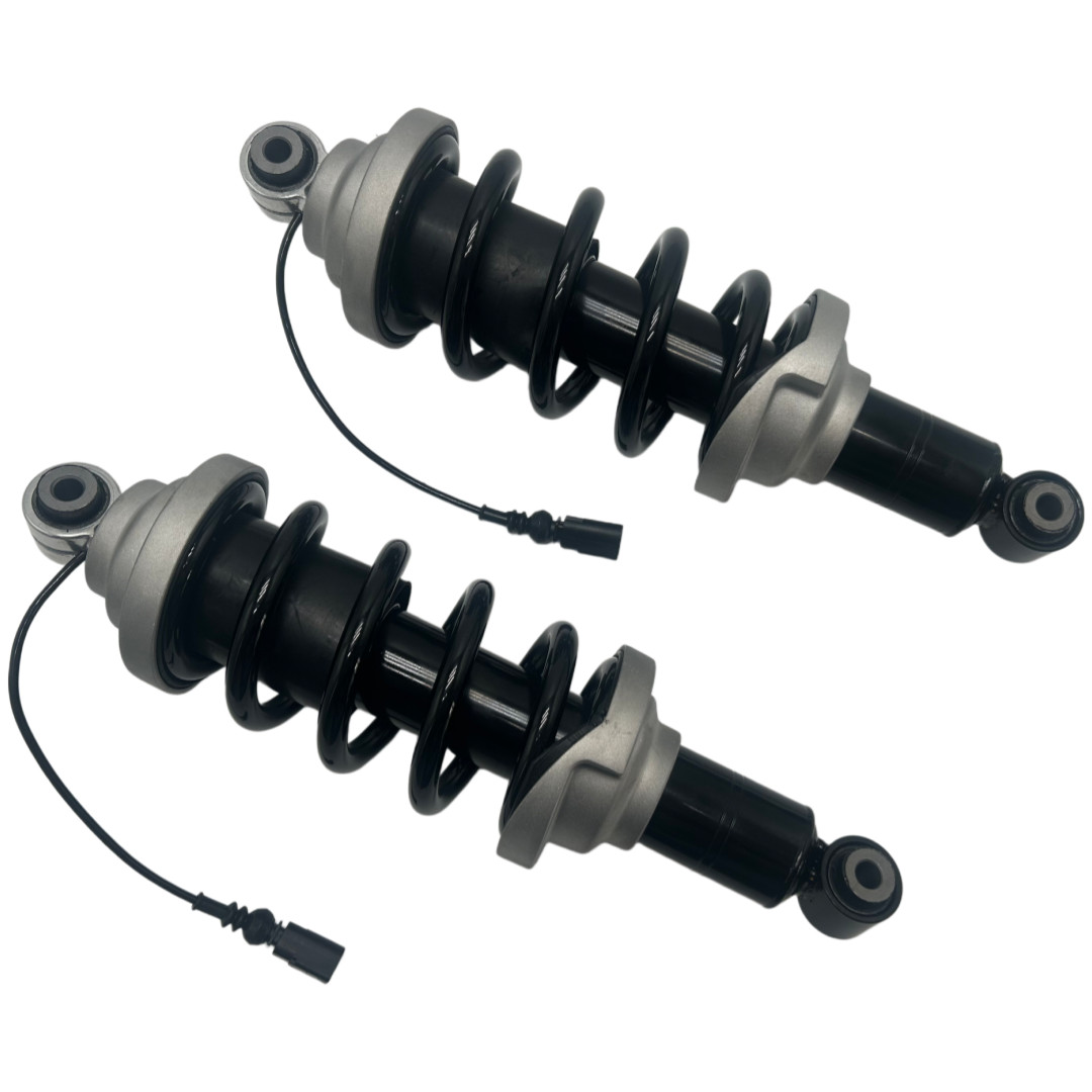 Audi R8 2016-2021 Rear Left, right Adaptive dampers Pair