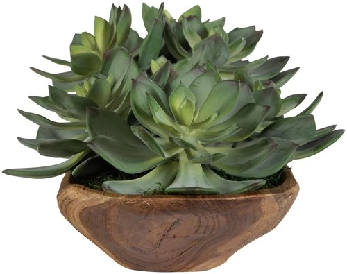 Uttermost 60205 Yuma 8" Tall Wood Faux Flora Planter - Natural - Picture 3 of 5