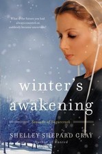 Winter's Awakening: Seasons of Sugarcreek, Book One (Seasons of Sugarcreek, 1) b