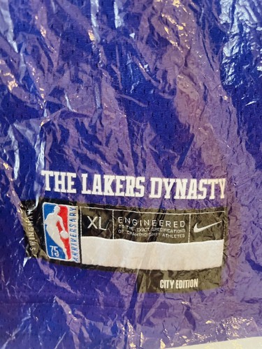 Lebron James #6 LAKERS Purple Commemorative Nike Jersey Size 52/XL - Picture 14 of 17