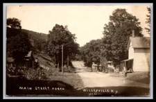 RPPC  Boy On Main ST. North  Wilseyville, NY  Real Photo Postcard