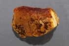 Large Genuine BALTIC AMBER Butterscotch Solid Nugget Stone Piece 83.8g 211202-4