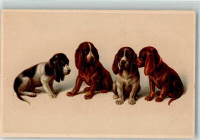 39648930 - Beagel No. 1123 M. Munk Vienna