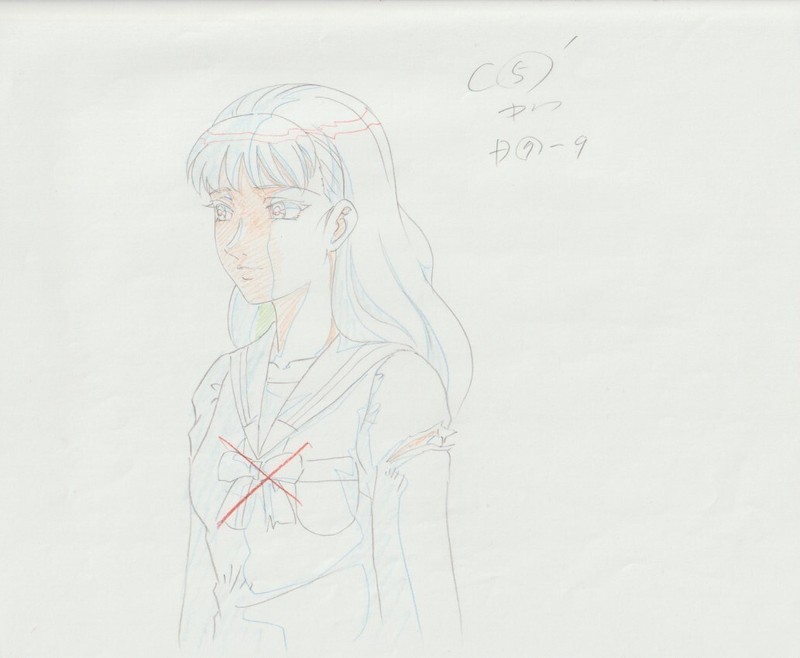The Twelve Kingdoms Juuni Kokki Genga Douga Original Sketches Pierrot - Youko