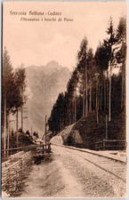 Italy Veneto Belluno Cadore Ferrovia Railway Tracks Forest 1908 Postcard