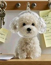Pet Memorial Transparent Dog Keychain Puppy Keepsake Charm for Fur Hair Gift