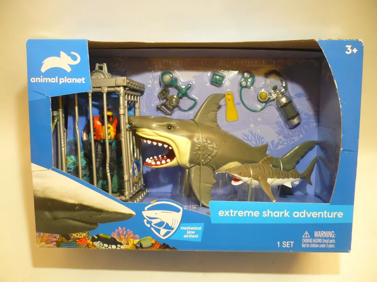 Shark Adventure