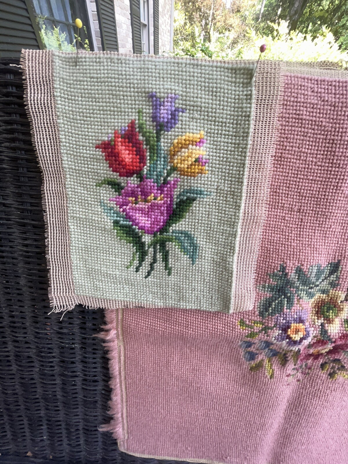 Picture 5 of 5