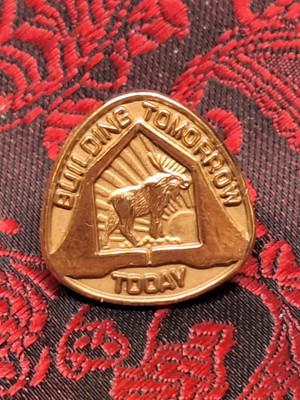 VINTAGE LOYAL ORDER OF THE MOOSE  BUILDING TOMORROW TODAY SMALL TIE PIN