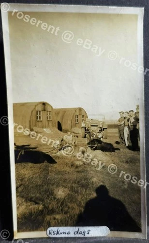 WW2 Iceland - Eskimo Dog teams brought from Greenland - Soldiers photo 11 by 8cm